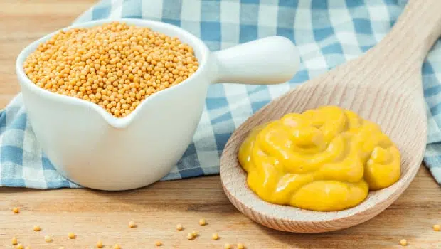 Hardal Sosu 5000 gr Mustard Sauce